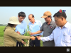 Trang nông nghiệp ngày 08/4/2025