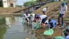 Trang nông nghiệp ngày 01-4-2025