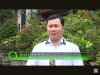Trang nông nghiệp ngày 15/4/2025