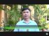Trang nông nghiệp ngày 22/4/2025