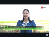 Trang nông nghiệp ngày 27/5/2025