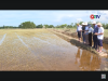 Trang nông nghiệp ngày 24/6/2025