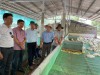 Trang nông nghiệp ngày 03/6/2025