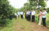 Các học viên tham quan mô hình trồng cam thâm canh ứng dụng công nghệ tưới tự động tại xã Nam Trạch