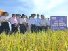 Các đại biểu đánh giá mô hình sản xuất lúa hữu cơ liên kết tiêu thụ sản phẩm tại HTX Thượng Hòa, xã Vĩnh Linh