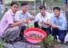 Mô hình nuôi tôm càng xanh 2 giai đoạn liên kết tiêu thụ sản phẩm tại xã Nam Cửa Việt