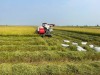 Phát triển kinh tế nông nghiệp tạo nền tảng xây dựng nông thôn mới tại các địa phương