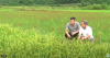 trang-nong-nghiep-ngay-31-5-2022