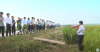 Trang nông nghiệp ngày 03/5/2022