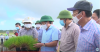 trang-nong-nghiep-ngay-10-05-2022