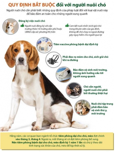 Phòng chống bệnh dại là trách nhiệm của mỗi người chủ chó. Hãy xem hình ảnh để biết thêm về cách giữ cho bạn và chó của bạn an toàn khỏi bệnh dại.