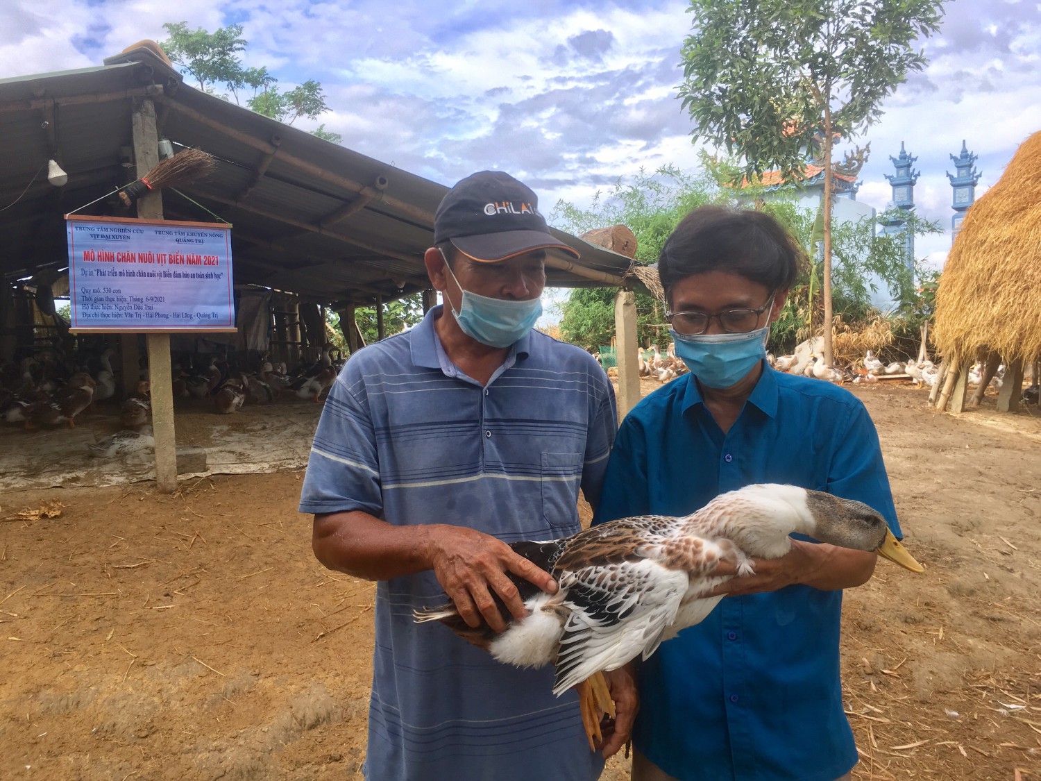 CESTI  Bến Tre Xây dựng mô hình chăn nuôi vịt an toàn sinh học trên địa  bàn huyện Ba Tri