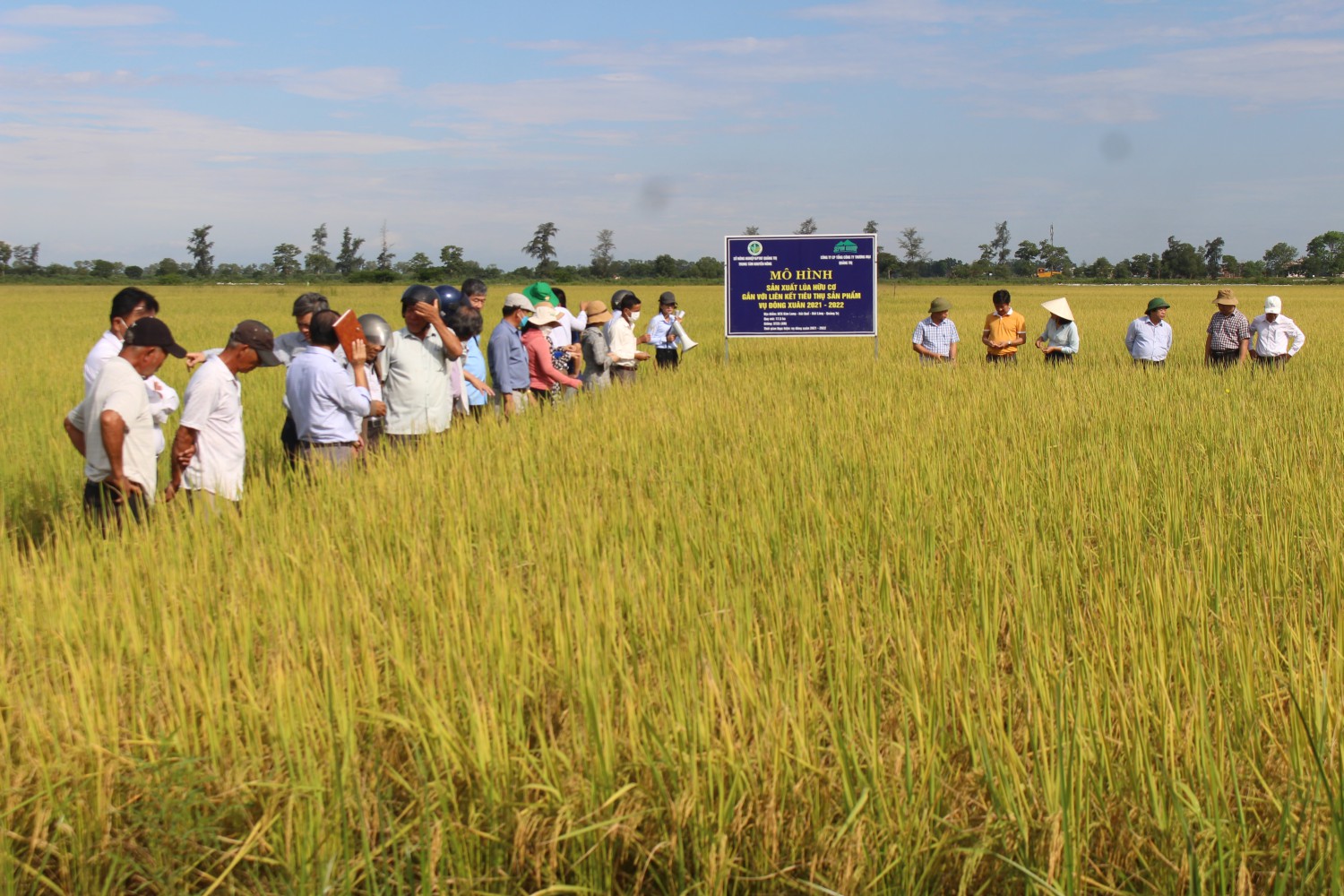 Tăng cường chuỗi liên kết sản xuất nâng cao giá trị sản phẩm tạo thương  hiệu lúa gạo Ea Súp  Các xã thị trấn  Cổng thông tin điện tử huyện