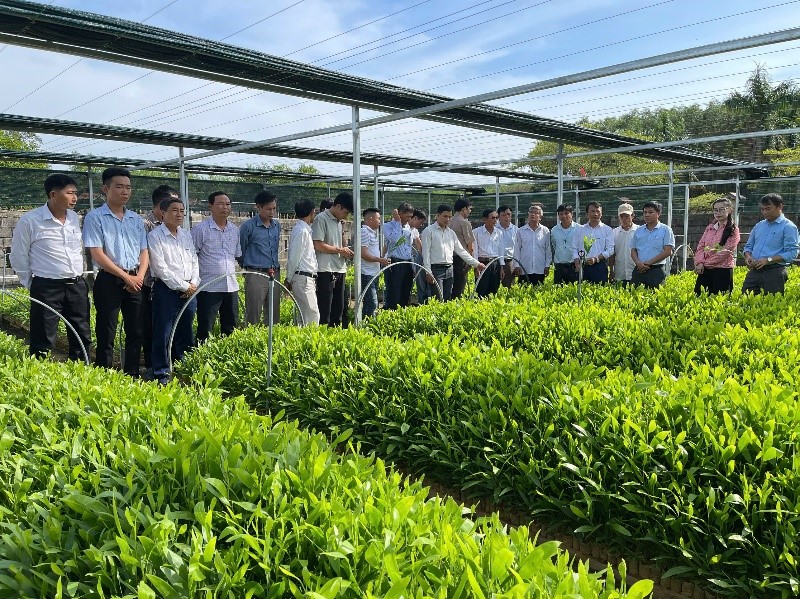 MÔ HÌNH TỔ CHỨC QUẢN LÝ SẢN XUẤT GIỮA DOANH NGHIỆP VÀ VƯỜN ƯƠM GIẢI PHÁP GIÚP MÔ HÌNH VƯỜN ƯƠM XÃ CAM CHÍNH SẢN XUẤT HIỆU QUẢ