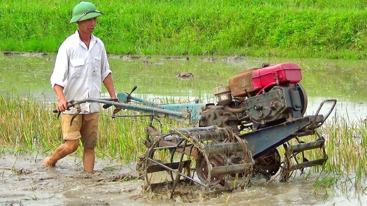 NHỮNG VIỆC CẦN LÀM TRONG THÁNG 11/2024