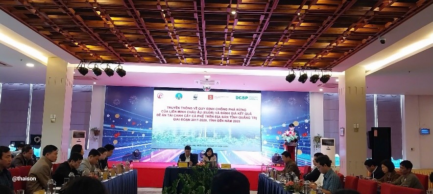 CƠ HỘI VÀ THÁCH THỨC CHO NGÀNH HÀNG CÀ PHÊ QUẢNG TRỊ KHI QUY ĐỊNH CANH TÁC KHÔNG GÂY MẤT RỪNG CỦA LIÊN MINH CHÂU ÂU (EUDR) CÓ HIỆU LỰC