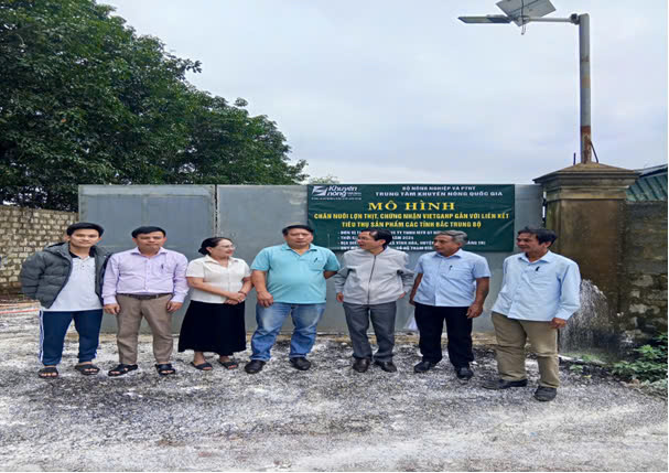 HIỆU QUẢ MÔ HÌNH CHĂN NUÔI LỢN THỊT CHỨNG NHẬN VIETGAP, GẮN VỚI LIÊN KẾT TIÊU THỤ SẢN PHẦM
