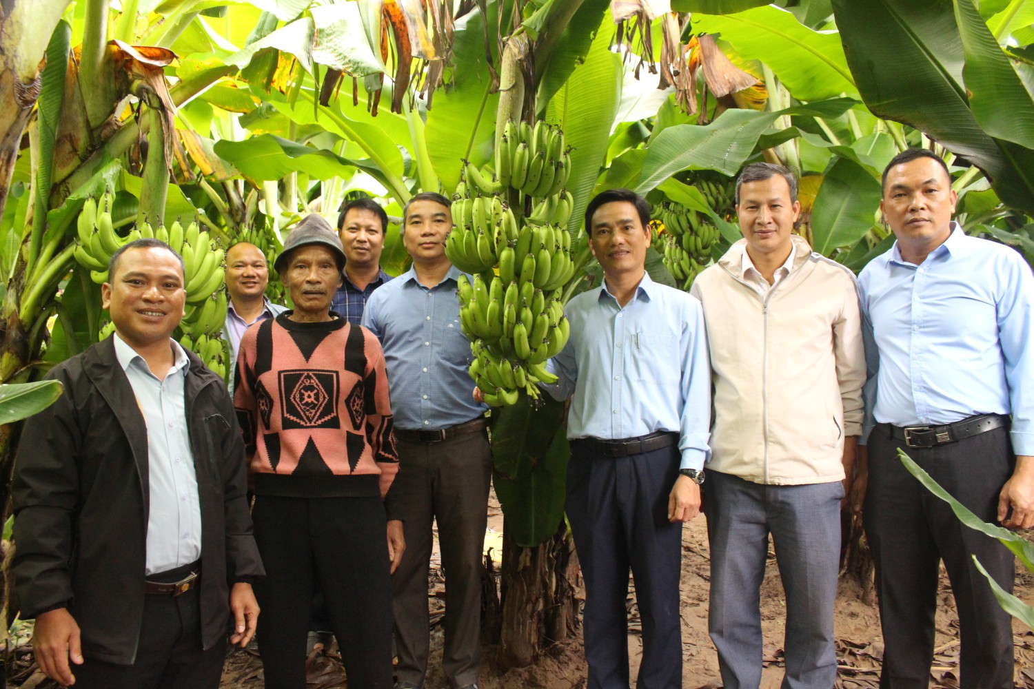 KẾT QUẢ MỘT SỐ MÔ HÌNH CHUYỂN GIAO TIẾN BỘ KỸ THUẬT CHO ĐỒNG BÀO MIỀN NÚI, GIẢI PHÁP THỰC HIỆN TRONG THỜI GIAN TỚI