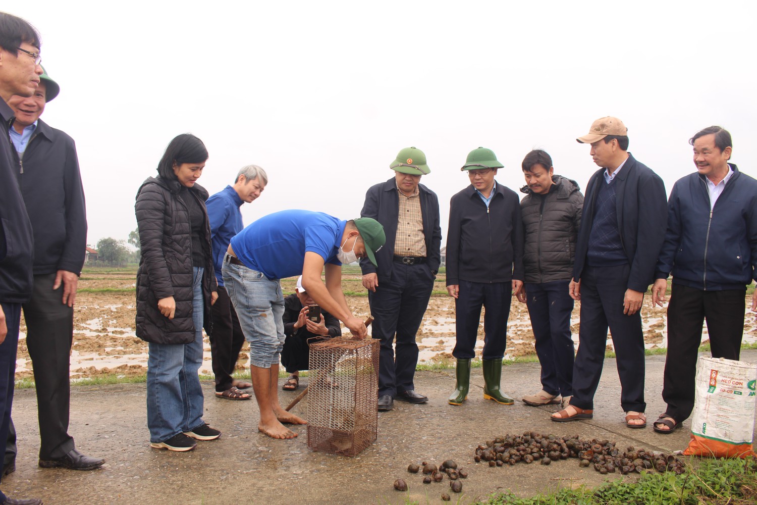 “CHỦ ĐỘNG PHÒNG TRỪ CÁC ĐỐI TƯỢNG GÂY HẠI CHÍNH TRÊN CÂY LÚA ĐẦU VỤ ĐÔNG XUÂN 2024-2025”