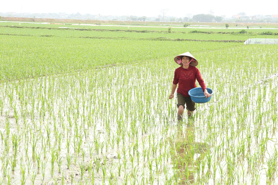 NHỮNG VIỆC CẦN LÀM TRONG THÁNG 3/2025