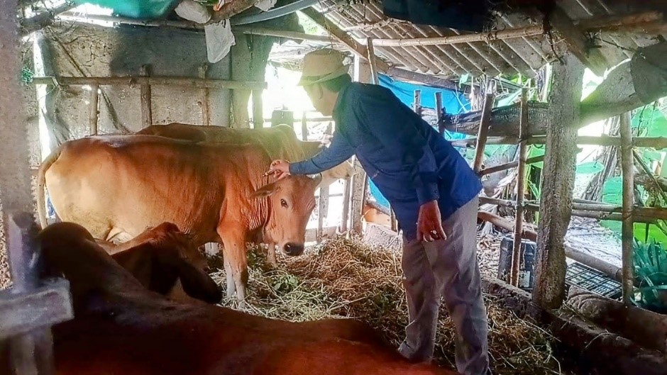 HƯỚNG DẪN CÁC BIỆN PHÁP PHÒNG, CHỐNG DỊCH BỆNH CHO VẬT NUÔI VỤ XUÂN HÈ