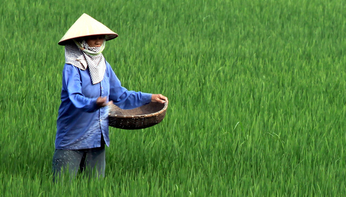 NHỮNG VIỆC CẦN LÀM TRONG THÁNG 4/2025