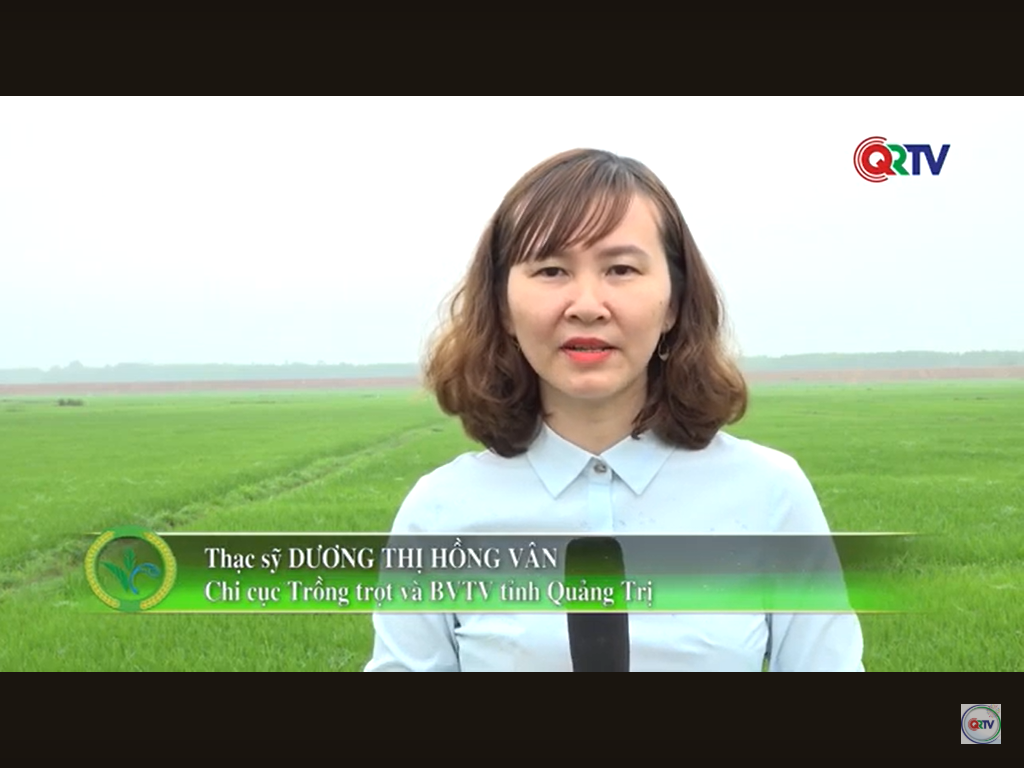 Trang nông nghiệp ngày 04-3-2025
