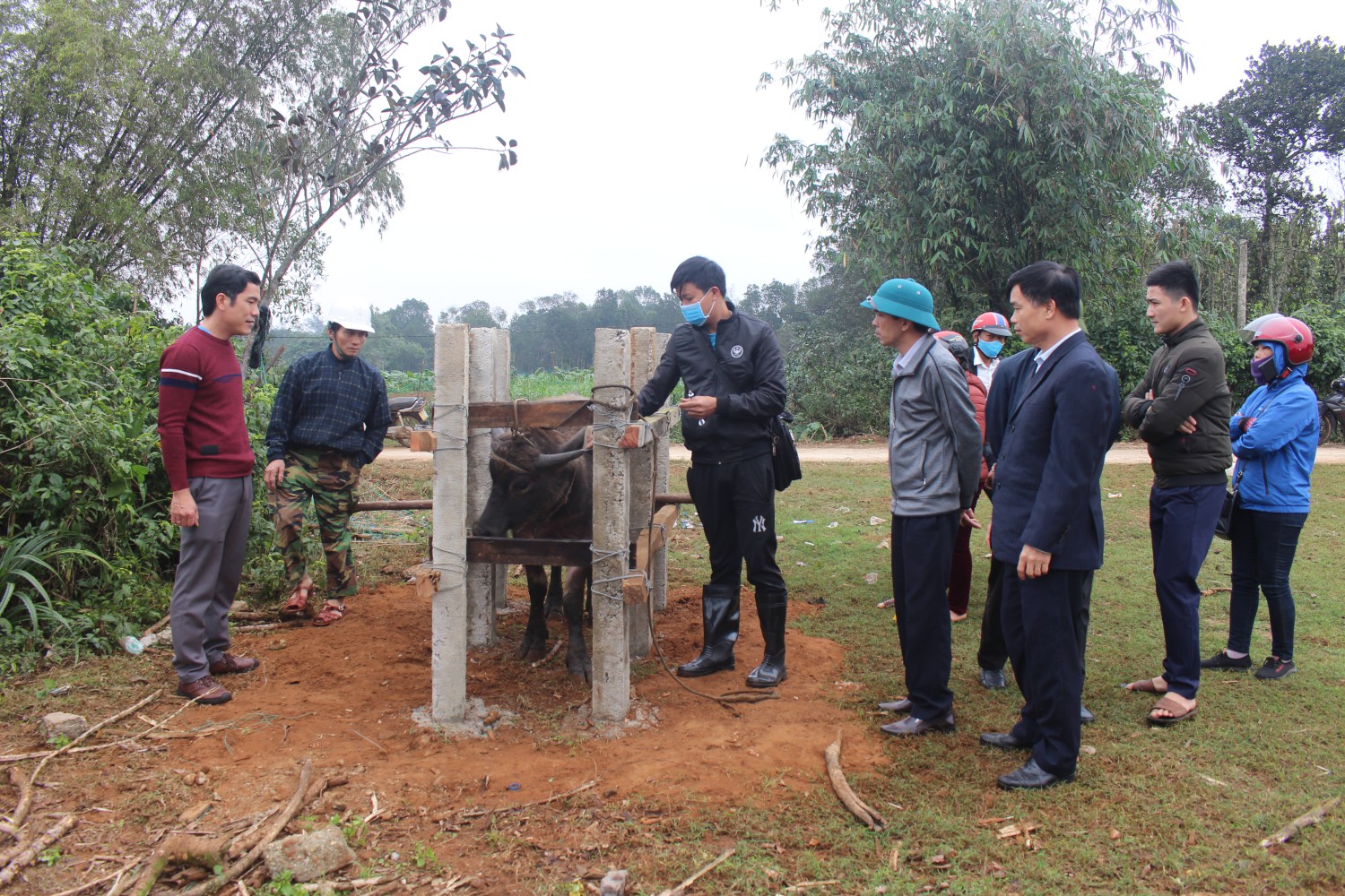 Trang nông nghiệp ngày 18-3-2025
