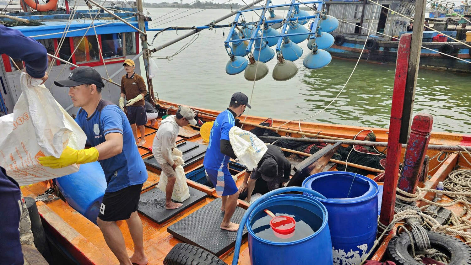 Quảng Trị - Ngư dân tất bật vươn khơi, bám biển