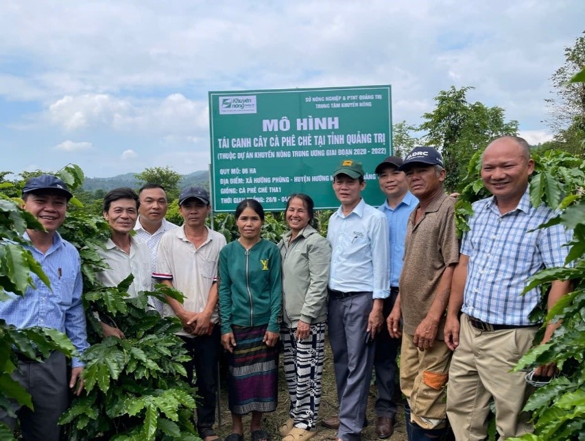 TỈNH QUẢNG TRỊ ĐẨY MẠNH PHÁT TRIỂN CÀ PHÊ CHẤT LƯỢNG