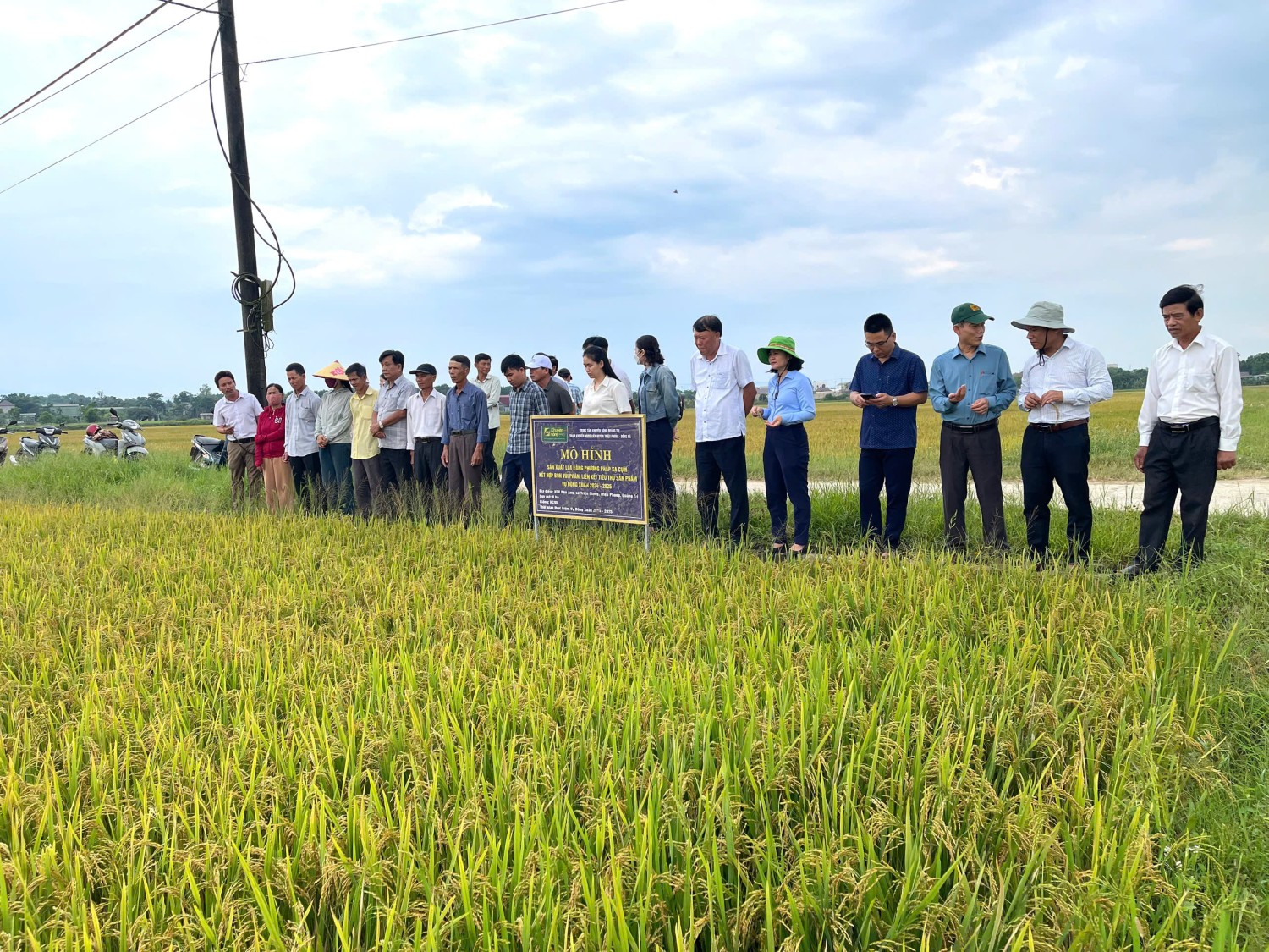 Trang nông nghiệp ngày 20/5/2025