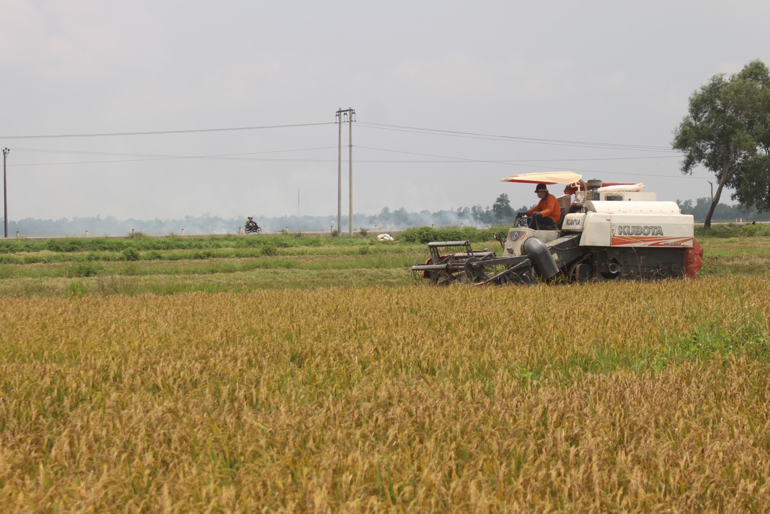 NHỮNG VIỆC CẦN LÀM TRONG THÁNG 5/2025