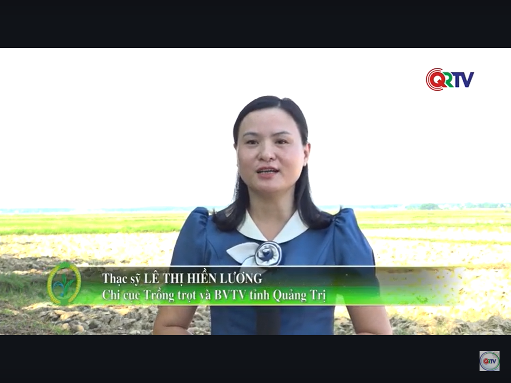 Trang nông nghiệp ngày 27/5/2025