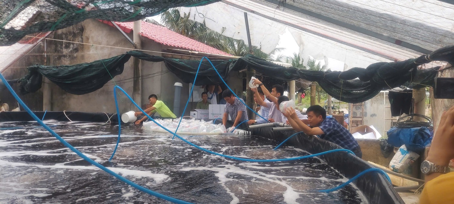 Trang nông nghiệp ngày 13/5/2025