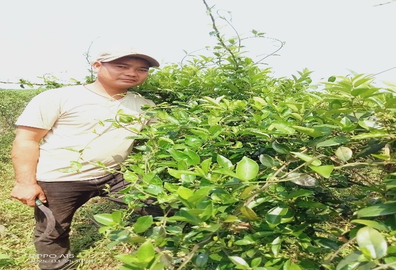 HẢI LĂNG - THANH NIÊN KHỞI NGHIỆP THÀNH CÔNG TỪ MÔ HÌNH CÂY THÌA CANH