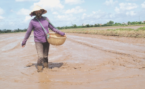 NHỮNG VIỆC CẦN LÀM TRONG THÁNG 6/2025