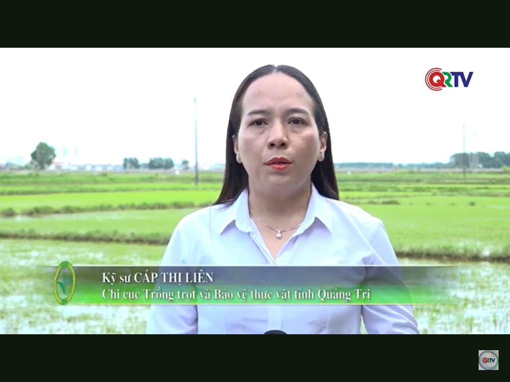 Trang nông nghiệp ngày 17/6/2025