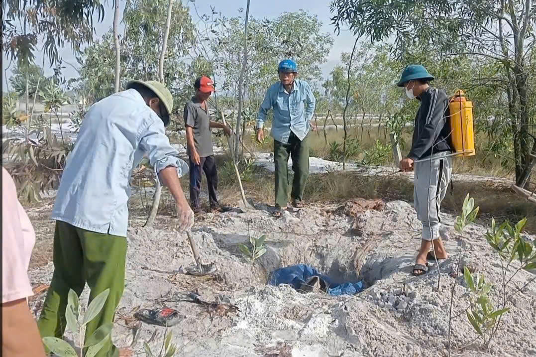 TĂNG CƯỜNG CÁC GIẢI PHÁP NGĂN CHẶN LÂY LAN DỊCH TẢ LỢN CHÂU PHI