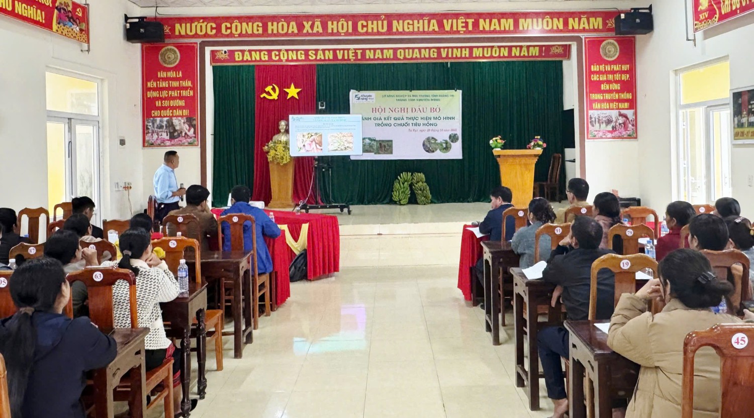 Hội nghị đầu bờ đánh giá kết quả thực hiện mô hình trồng chuối Tiêu hồng ở xã Tà Rụt