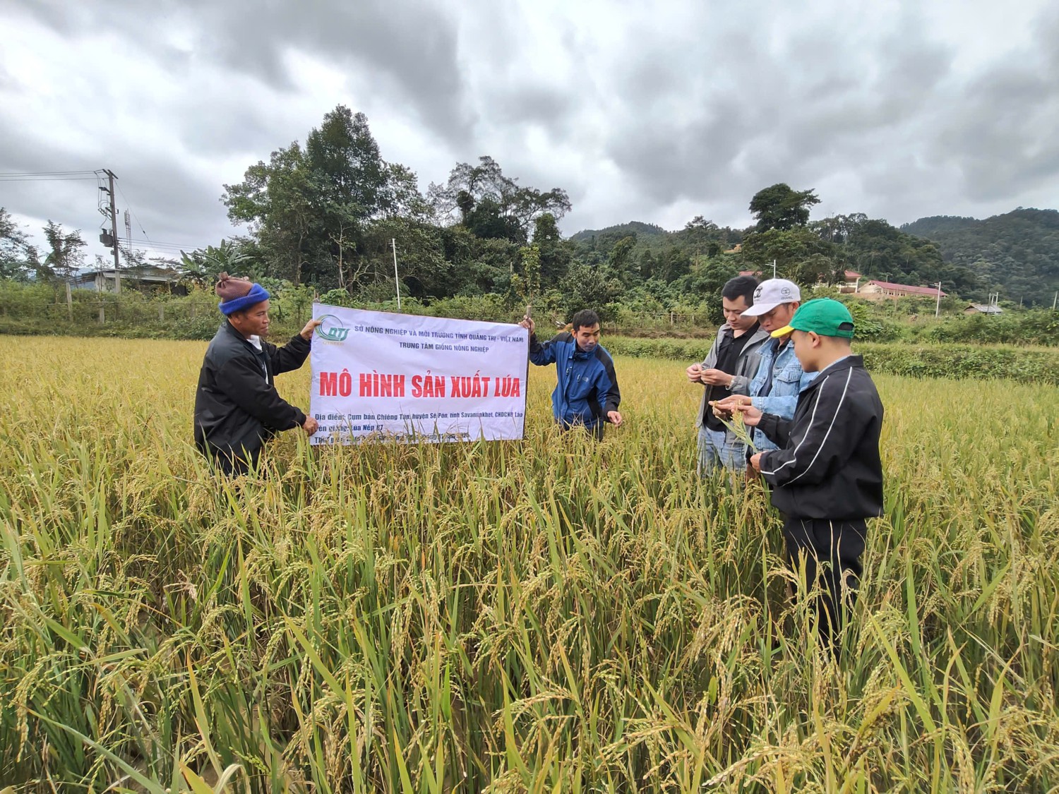 2589199221798954448 (1)