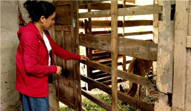 XÃ BA LÒNG CHUYỂN TỪ SẢN XUẤT	NÔNG NGHIỆP SANG KINH TẾ NÔNG NGHIỆP