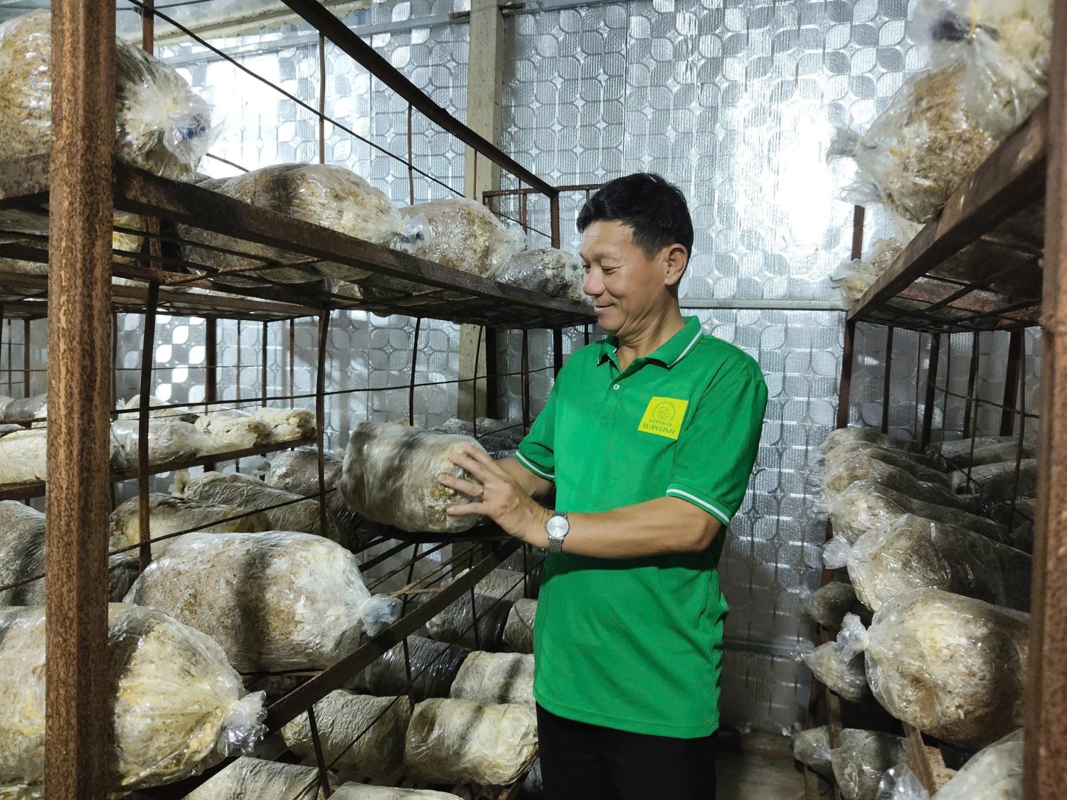 HTX	TUẤN LINH XÂY DỰNG CHUỖI GIÁ TRỊ TỪ NẤM SẠCH